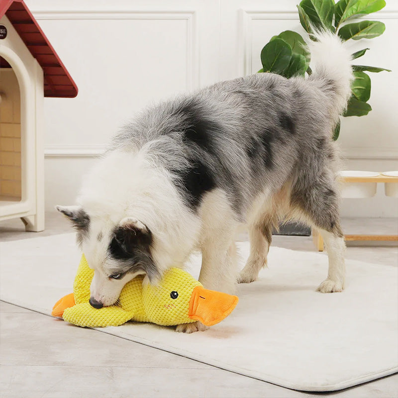Gift Choice - Durable Plush Chew Toy with Sounds for dogs