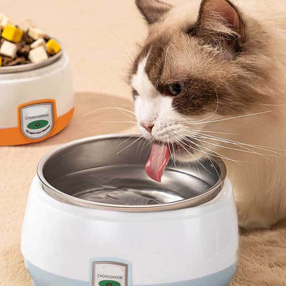 Safe Electric Heated Pet Food & Water Bowl