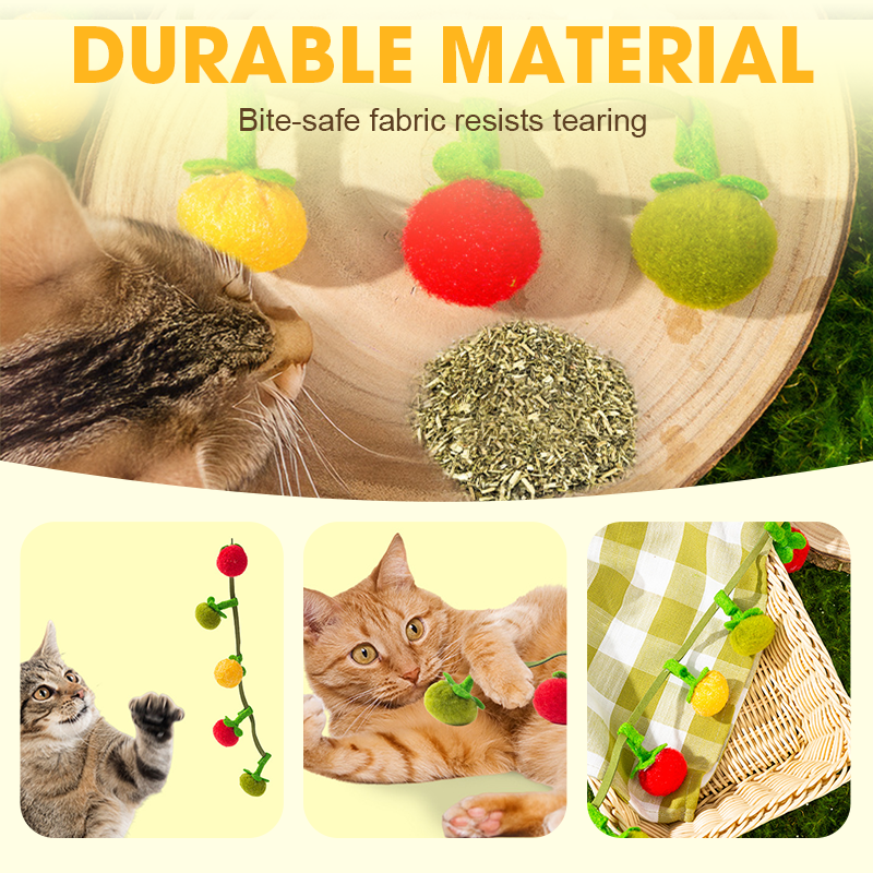 📢📢HOT SALE !!!✨Interactive Fruit-Shaped Catnip Toy String