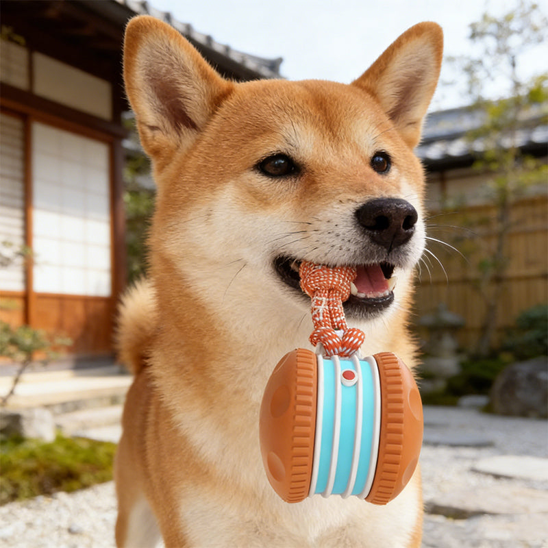 Interactive Rolling Ball Toy for Dogs